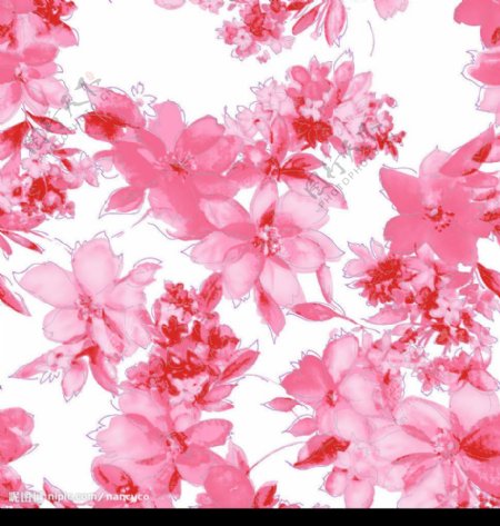 粉红花儿透明背景图图片