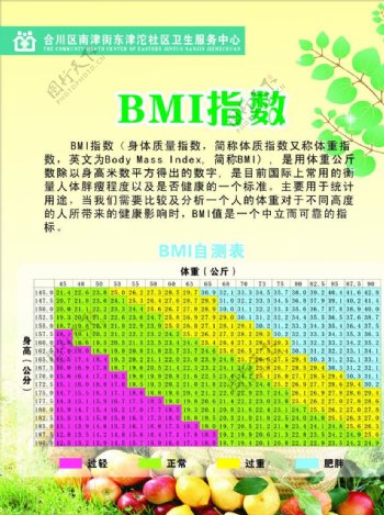 BMI健康指数图片