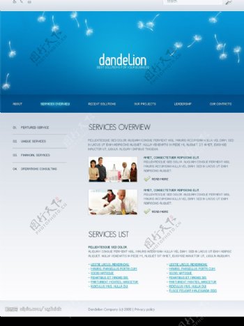 商业网页模板图片