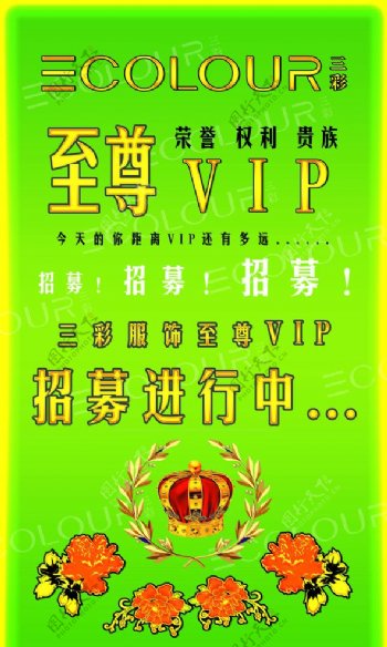 VIP招募图片