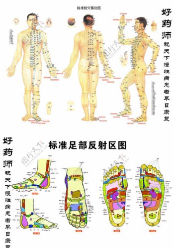 穴位圖位圖圖片