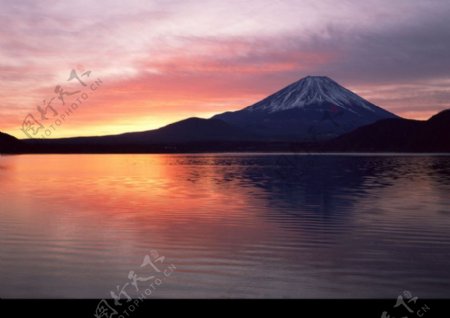 樱花与富士山0163