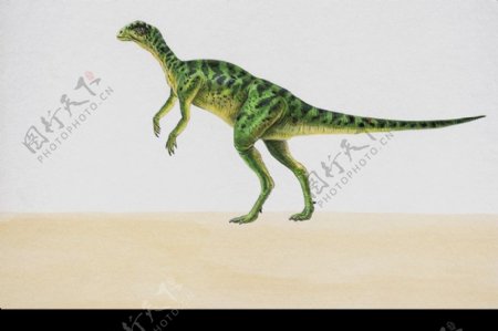 白垩纪恐龙0024