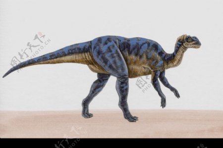 白垩纪恐龙0069