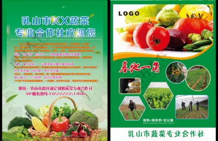 采摘园蔬菜宣传页
