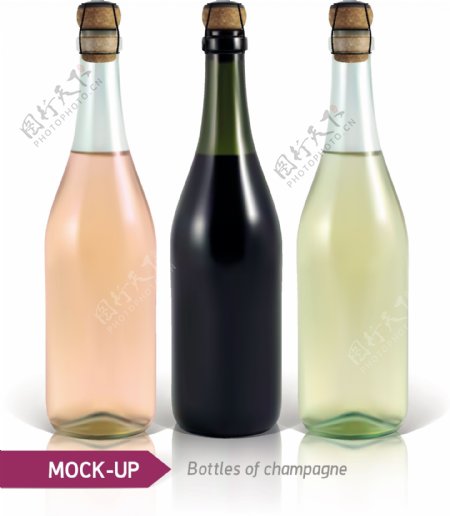 香槟酒瓶包装设计矢量素材