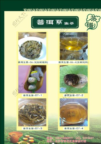 茶叶菜单宣传册