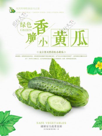 蔬菜海报黄瓜蔬菜海报设计
