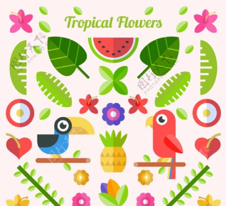 扁平化热带鹦鹉和植物矢量图