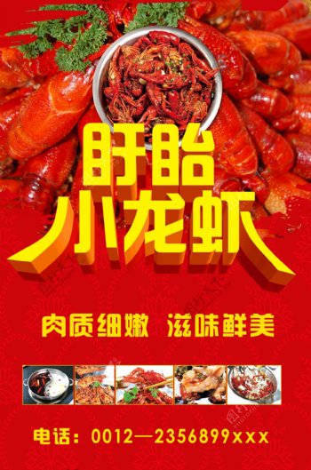 火辣辣红色龙虾海报