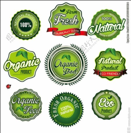 绿色标签圆形标签环保标签