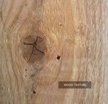 逼真带结疤的木材背景矢量素材