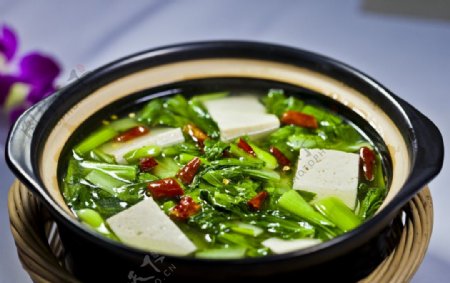 青菜豆腐煲