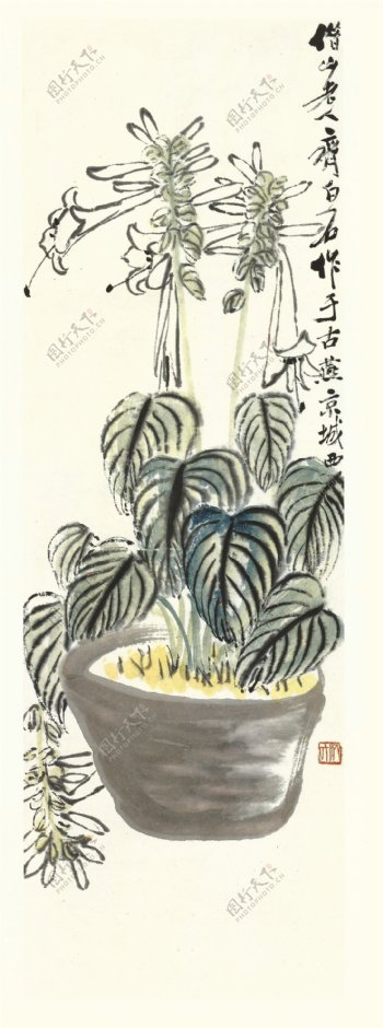 齐白石书法绘画艺术玉簪花