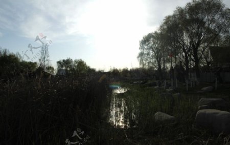 园林湖泊