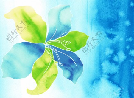 水彩花朵蓝色韩式底纹
