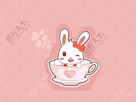 茶杯兔