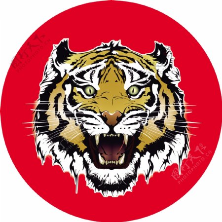 虎头logo