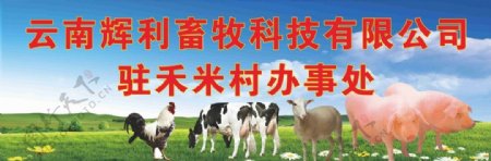 畜牧农业海报