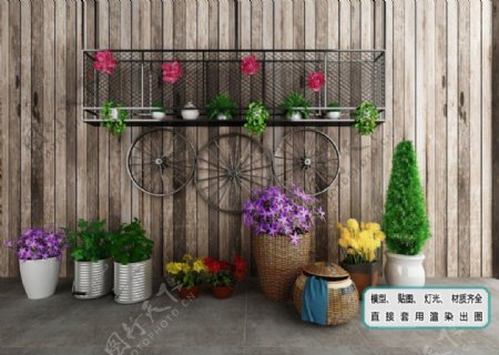 植物墙花卉组合绿化生态