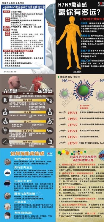 H7N9禽流感海报