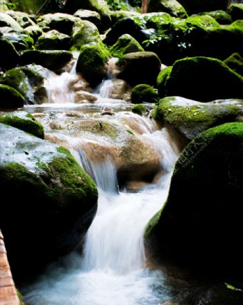 青苔飛瀑