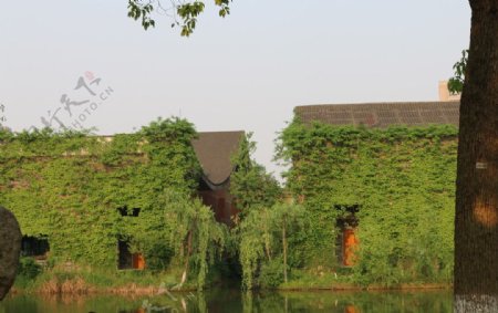 中国美术学院校园景色