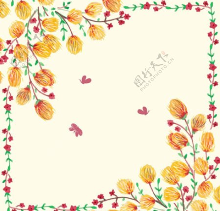 手绘水彩春季蝴蝶花卉框架