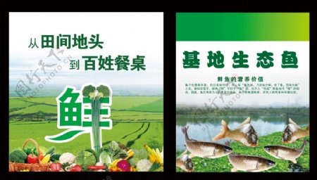 农业基地生态鱼海报