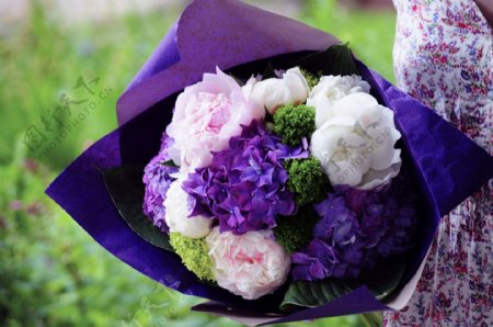 紫色的花束图片素材下载