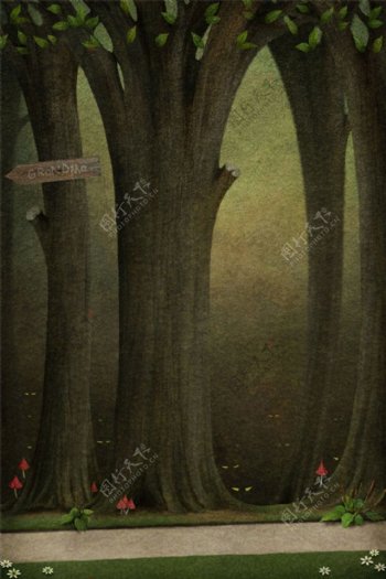 树木风景插画图片