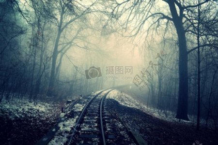 黑暗曲线森林滑轨雾弯曲多雾神秘铁路铁路令人毛骨悚然吓人