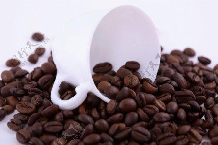 咖啡豆与白色咖啡杯图片