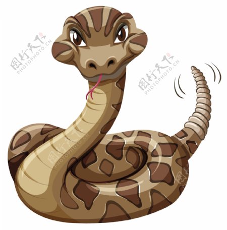 棕色的蟒蛇