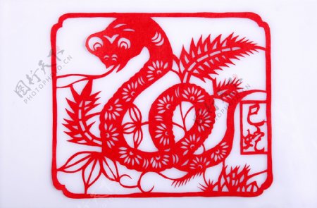 2013蛇剪纸春节插画图片