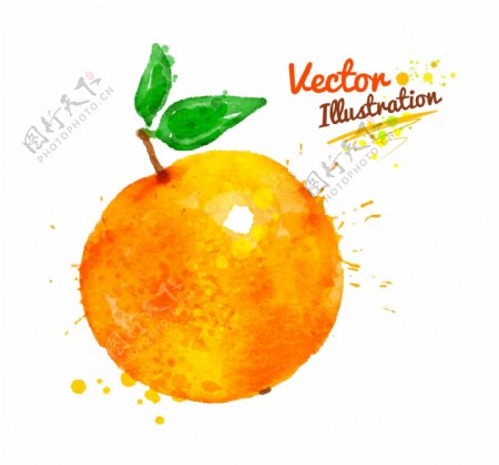 橙子创意喷溅水彩墨迹水果矢量