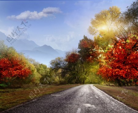 美丽秋天马路风景图片