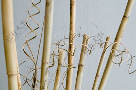 许多根竹竿和螺旋状竹条图片