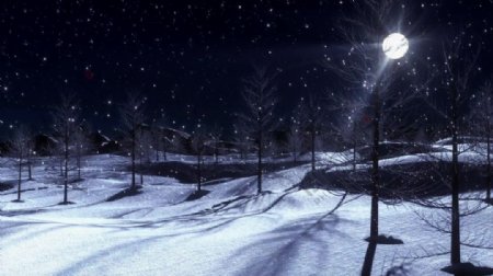 雪景夜景视频素材