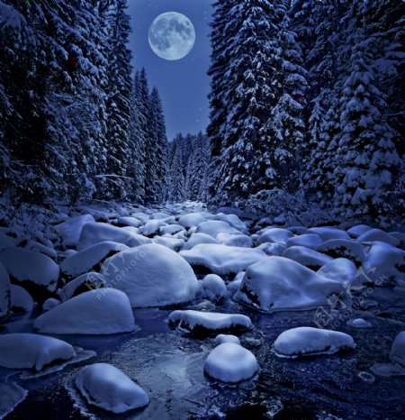 美丽冬天夜景图片