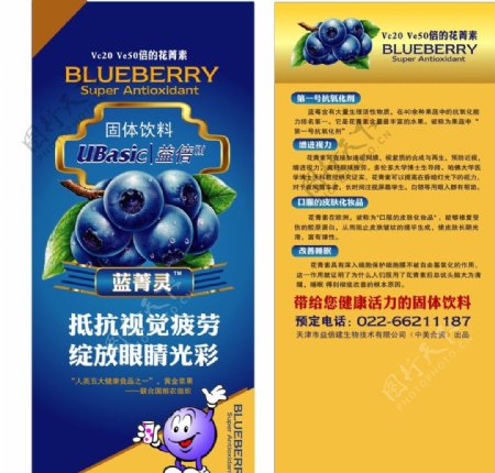 蓝莓固体饮料DM