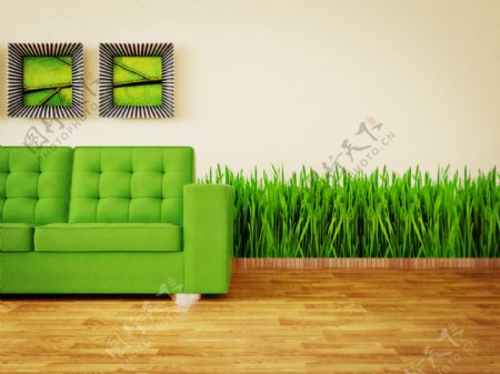 绿色沙发和植物