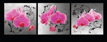 花朵装饰三联画图片