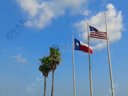天空云蓝色标志树木团结国家的美国旗德州美州得克萨斯州标志