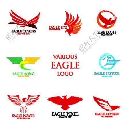 彩色的鹰logo图片