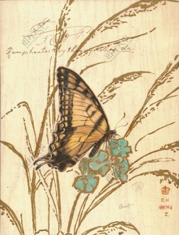 蝴蝶花卉中国画
