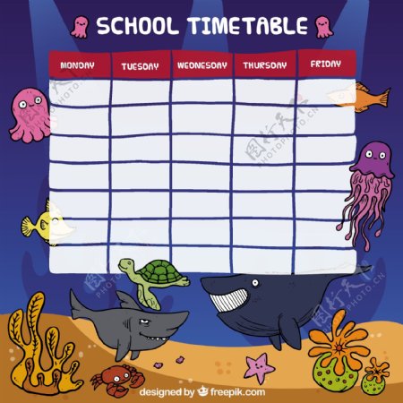 海洋动物学校时间表