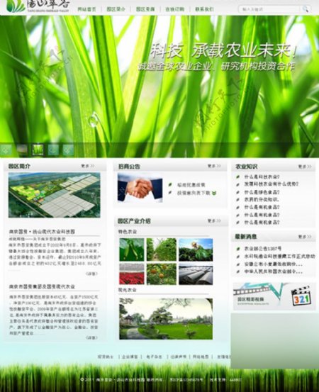 绿色清新网站模板