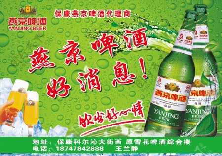 燕京啤酒传单
