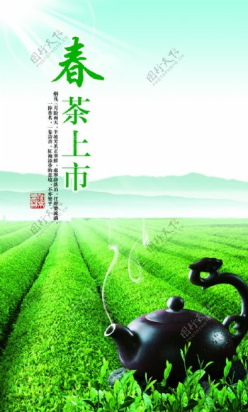 绿色大气风格茶叶宣传单下载
